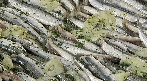 Anchoas “mediofritas”