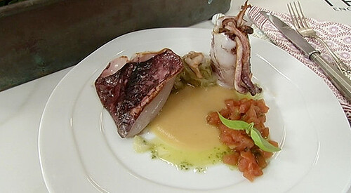 Chipirón con tomate, albahaca y pochas