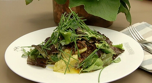 Ensalada de cabeza de jabalí