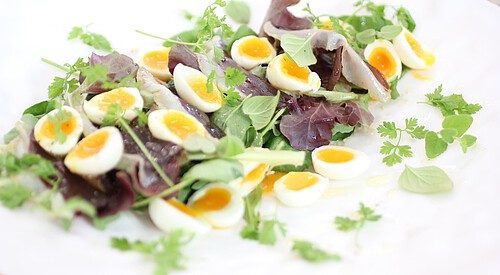 Ensalada de anchoas, jamón y berros
