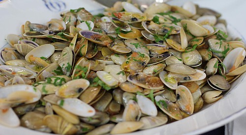 Coquinas “bajo de guía”
