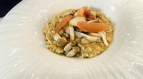 Risotto de setas y erizo de mar